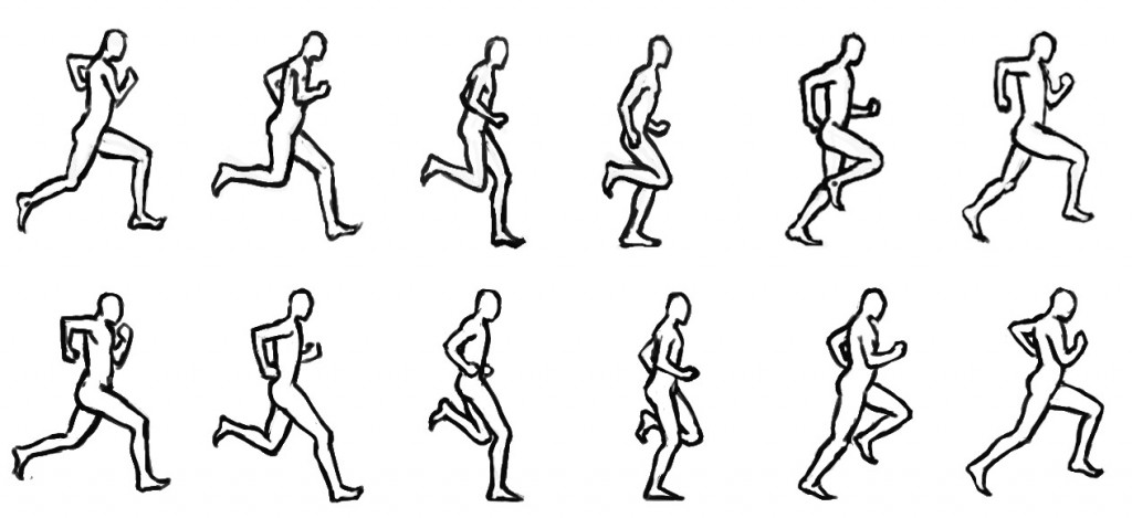 Run Cycle Reference
