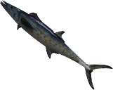 Holy Mackerel