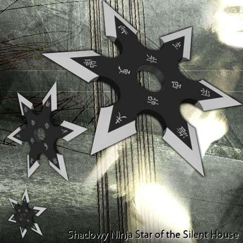 TheSilentHouse